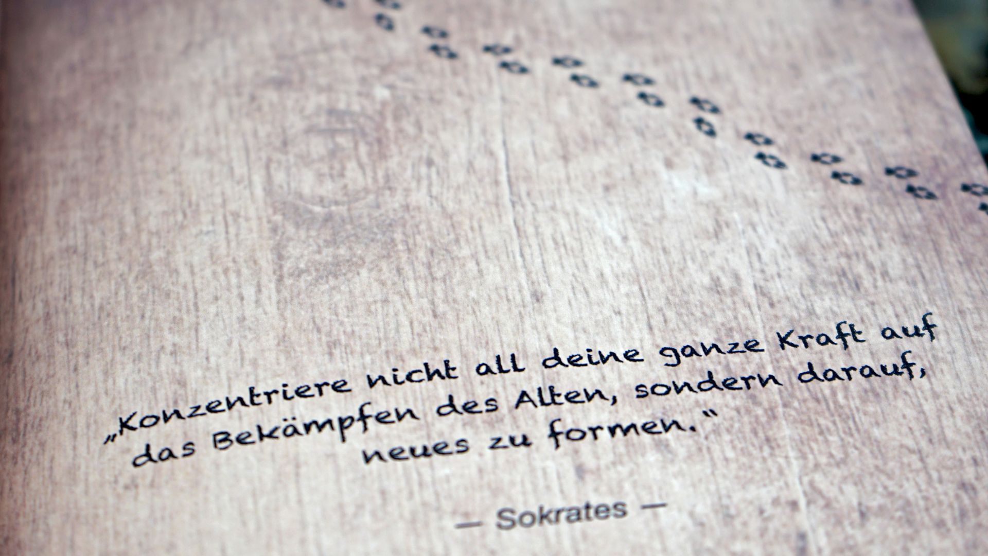 Natur-Tagebuch - Zitat Sokrates