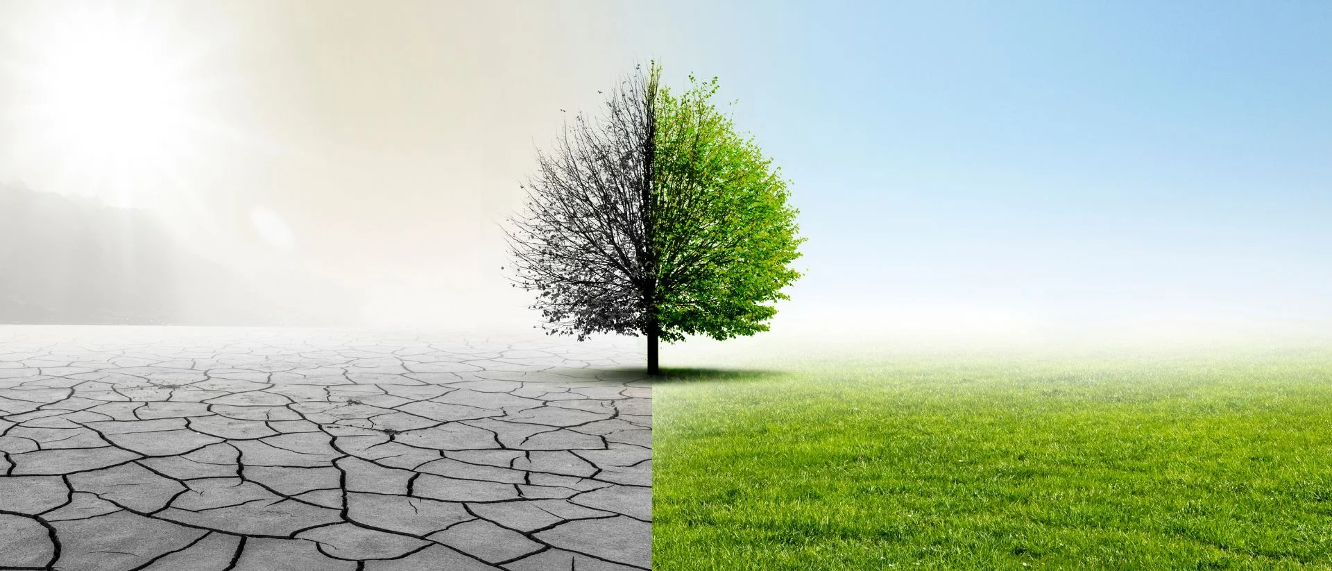 Selbstwertschätzung – die besten Tipps, unseren größten Schatz zu heben