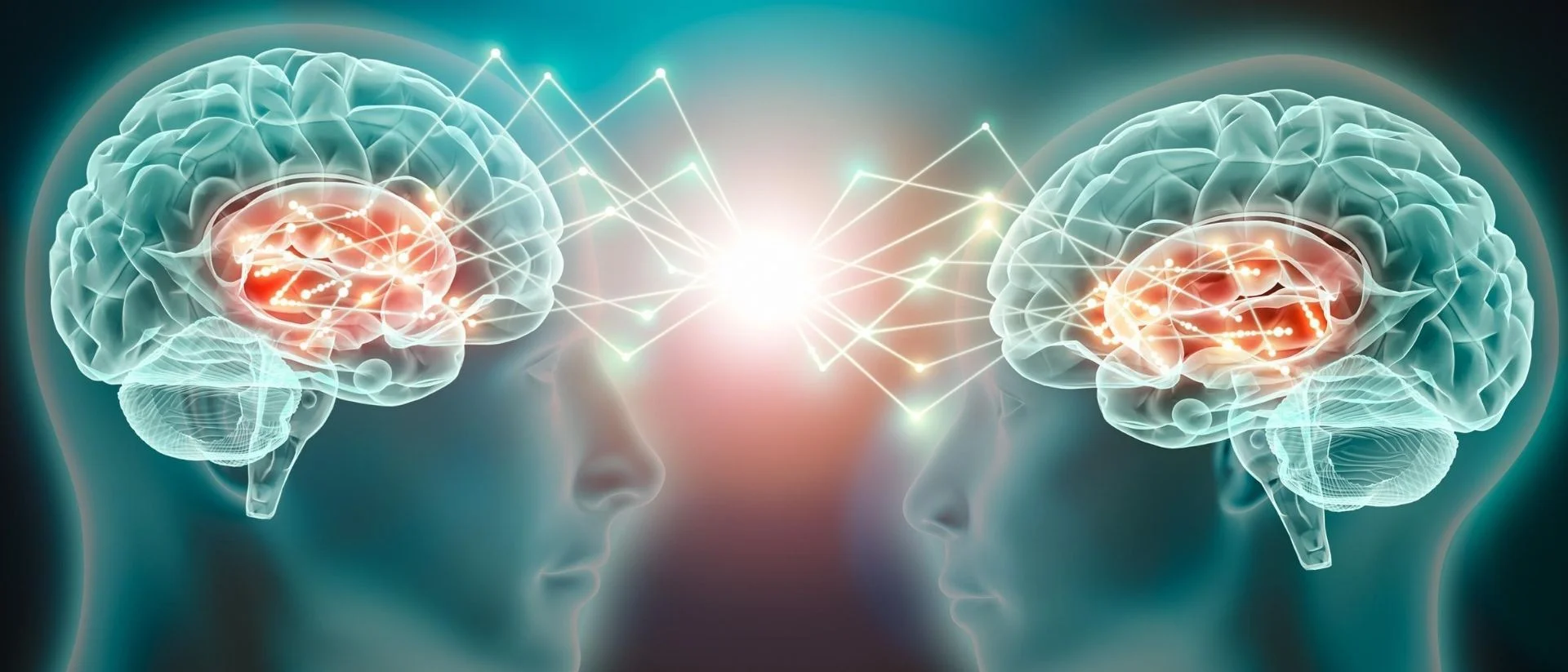 Spiegelneuronen sind Grundlage für Empathie