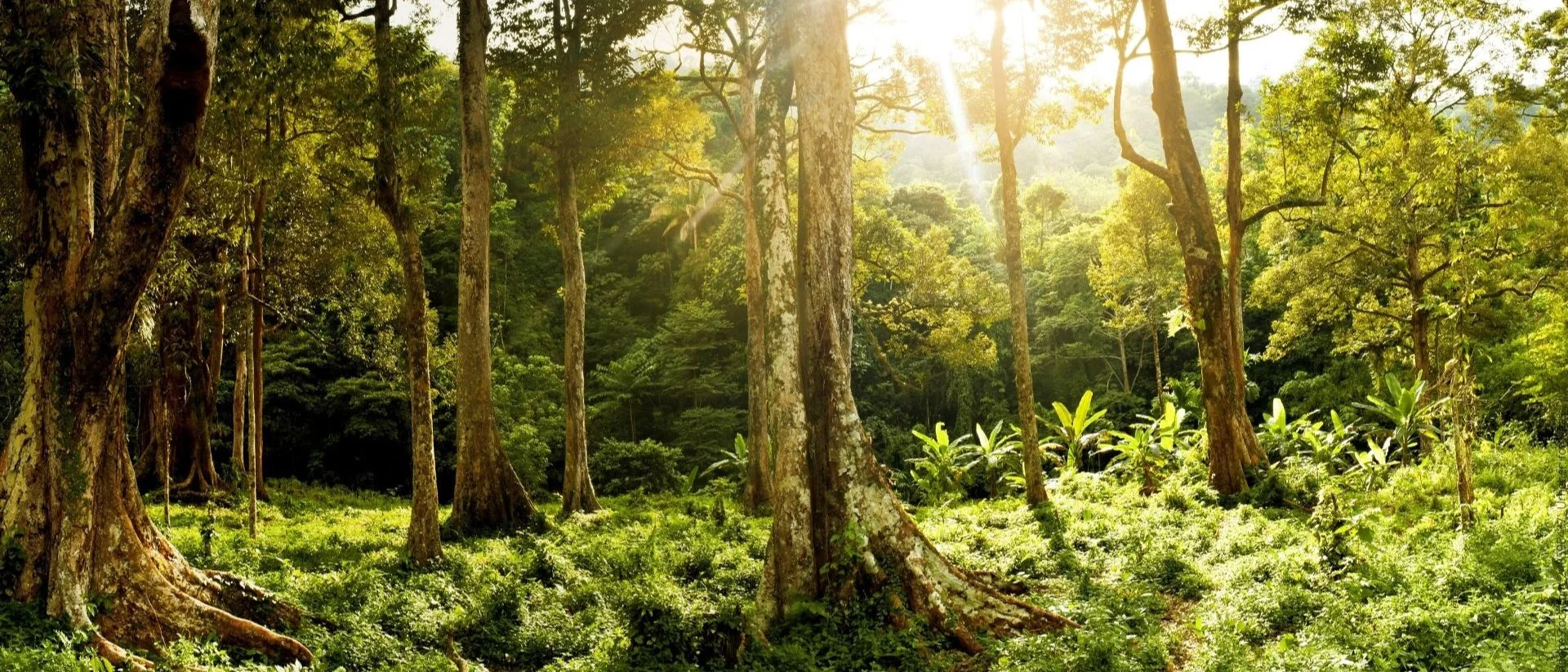Wildnispädagogik – Du bist kein Besucher der Wildnis, sondern ein Teil von ihr