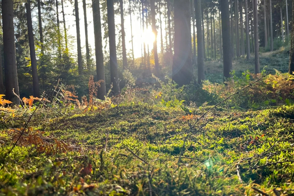 Inspiration für dich - 30 Tage für Ruhe und Klarheit