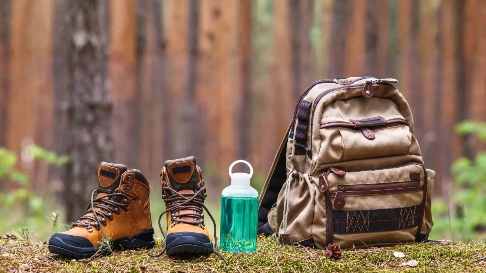 ISOfee - Natur Coaching